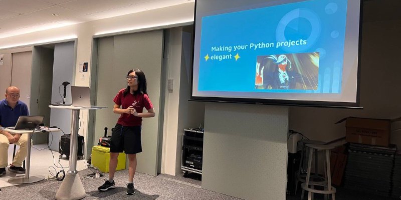 My elegant python talk